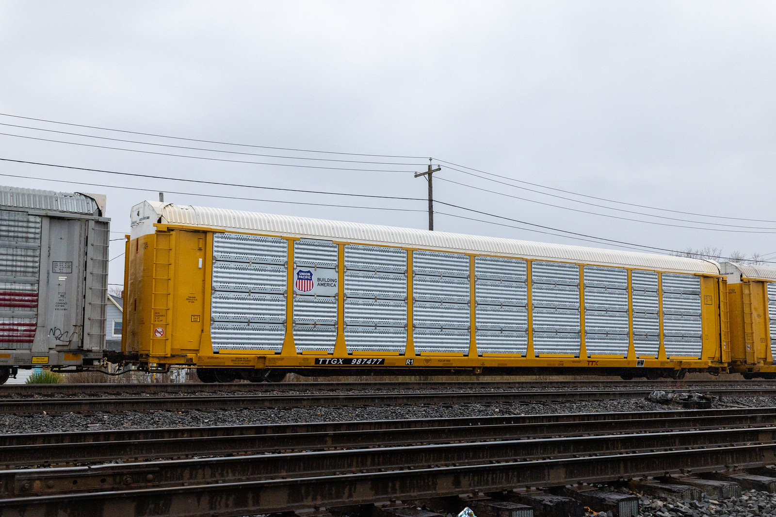 TTGX 987477