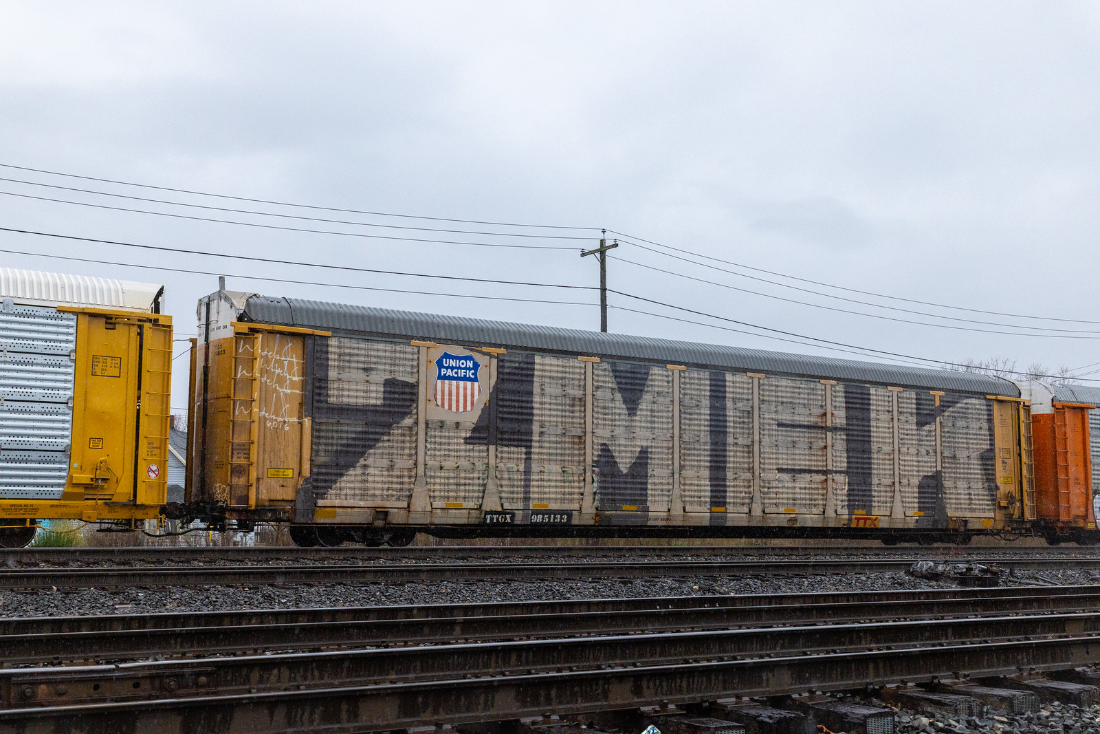 TTGX 985133