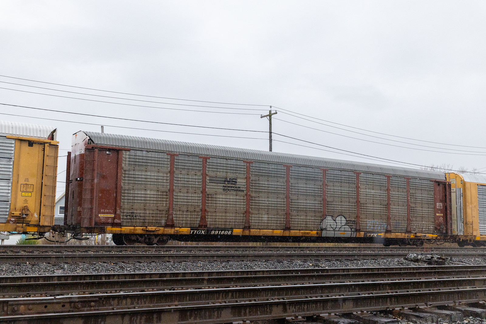 TTGX 991806
