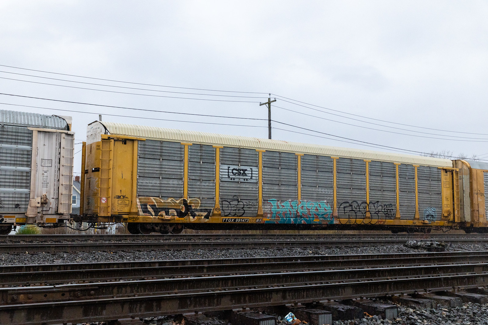 TTGX 991473