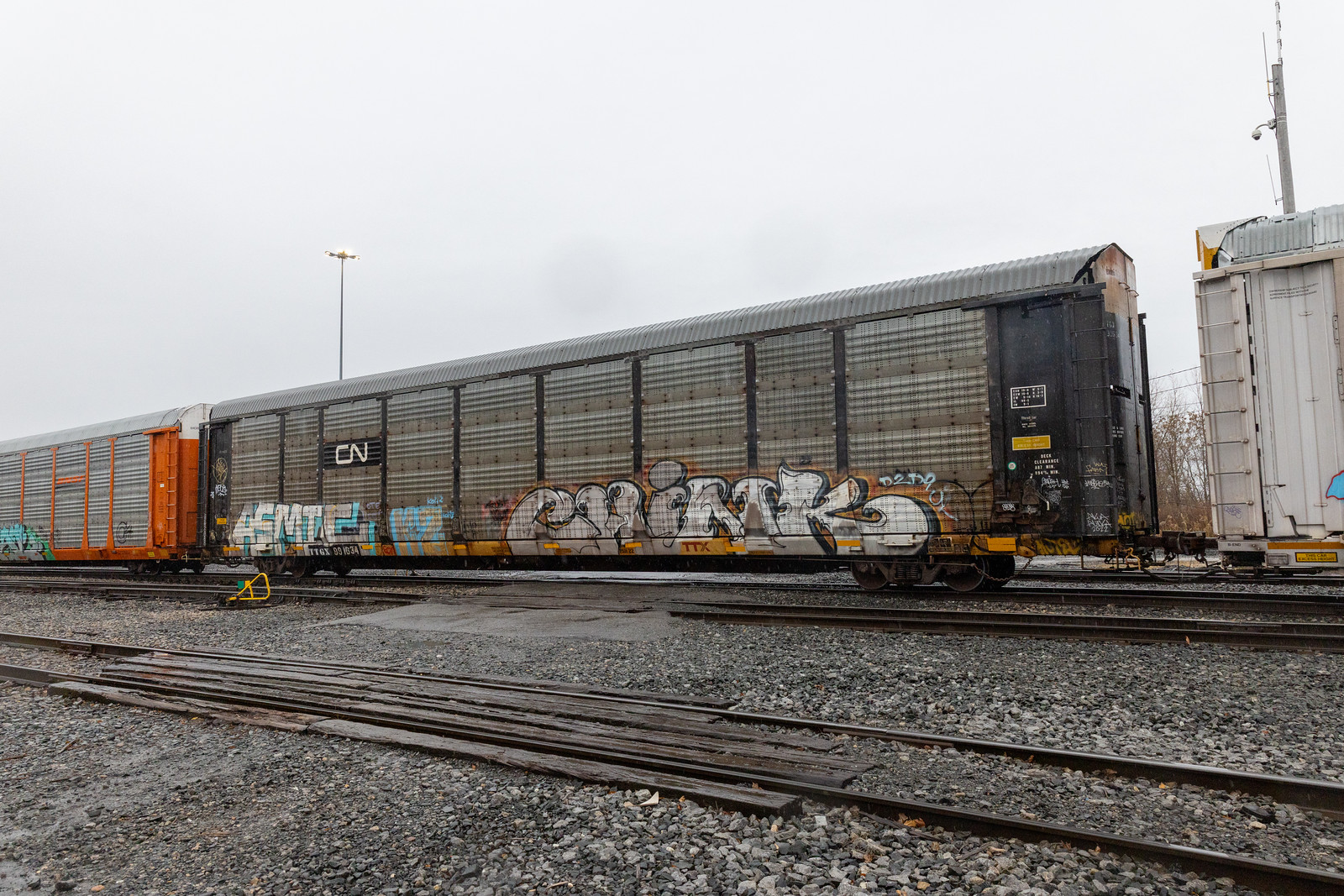 TTGX 991634