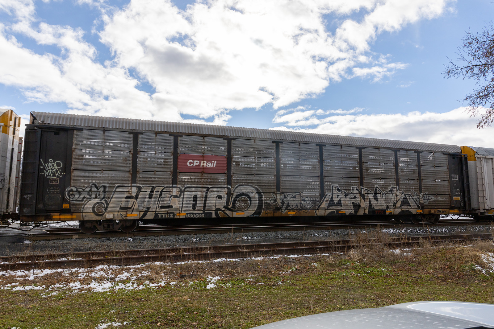 TTGX 980666