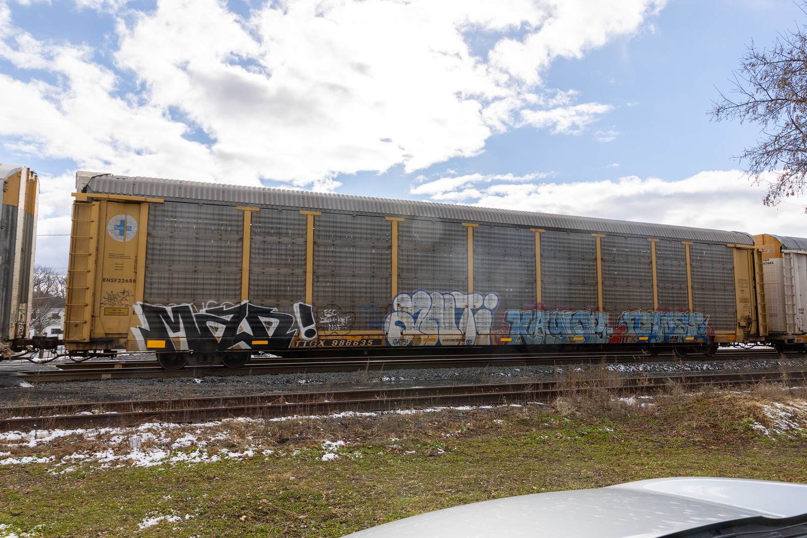 TTGX 986635