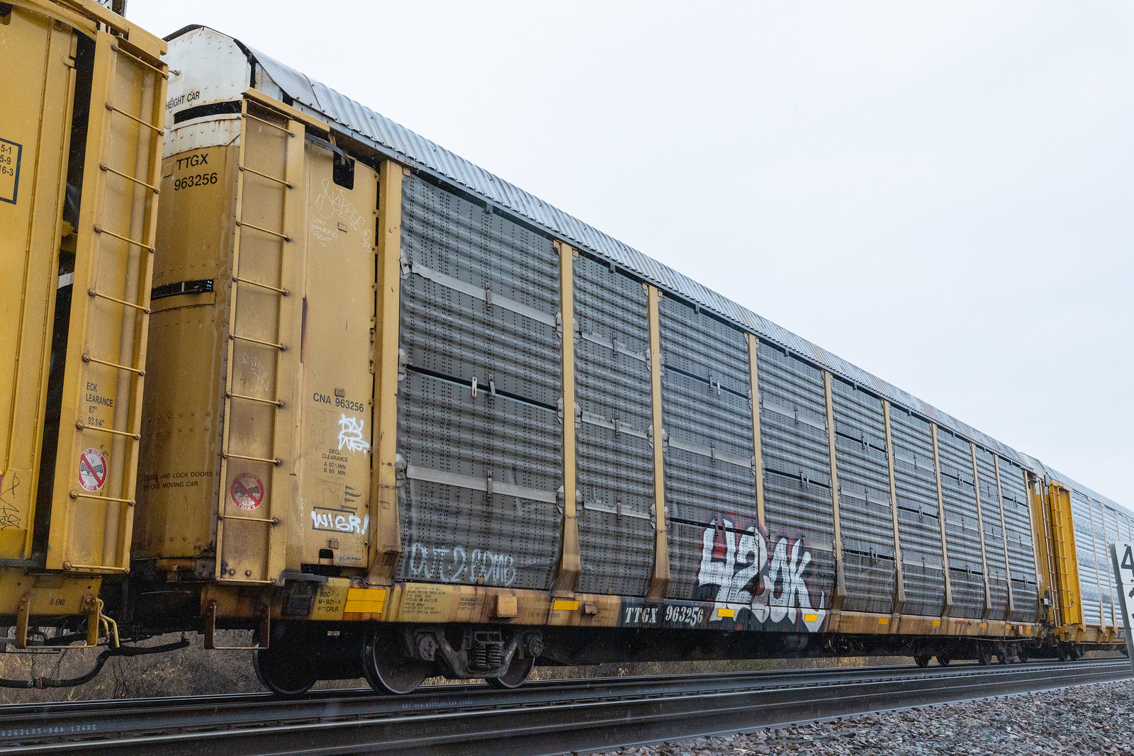 TTGX 963256
