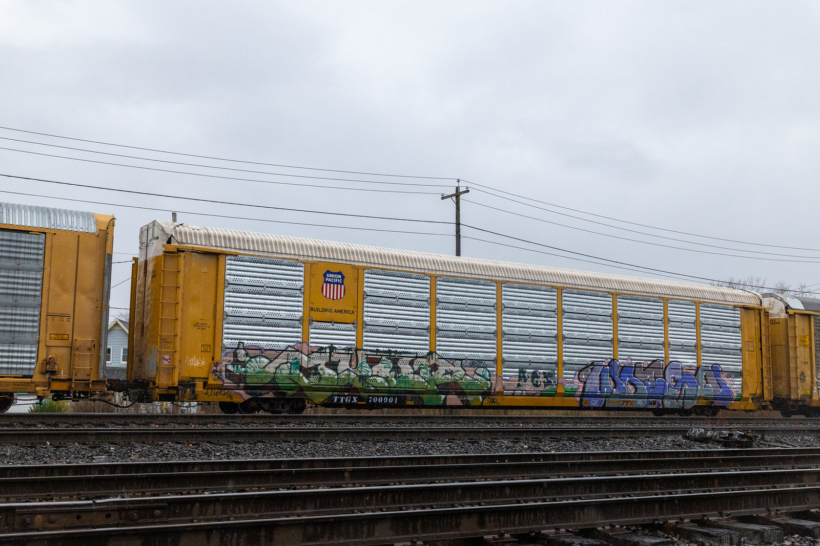 TTGX 700901