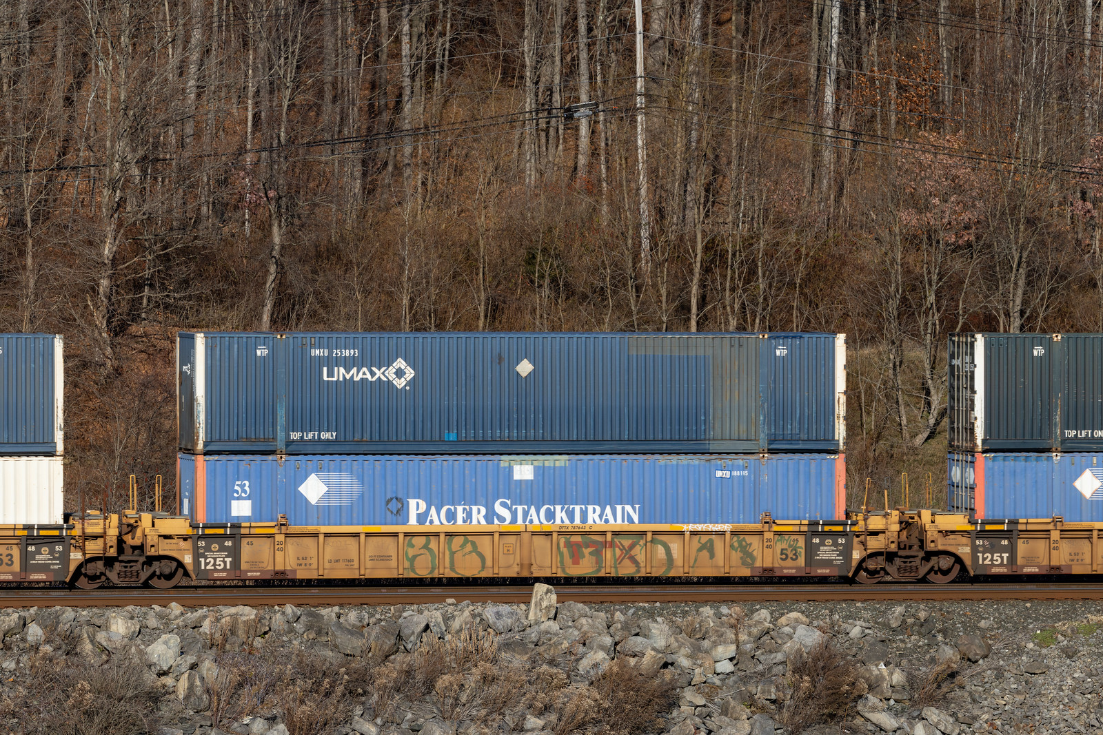 DTTX 787643C