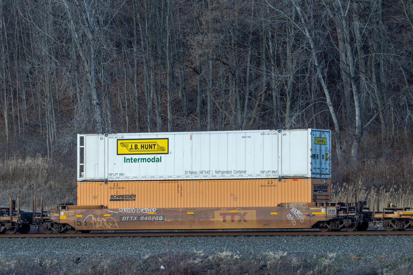 DTTX 646269