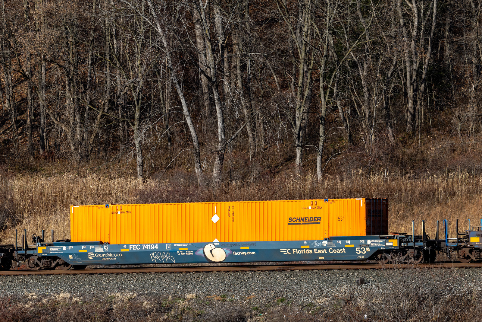 FEC 74194
