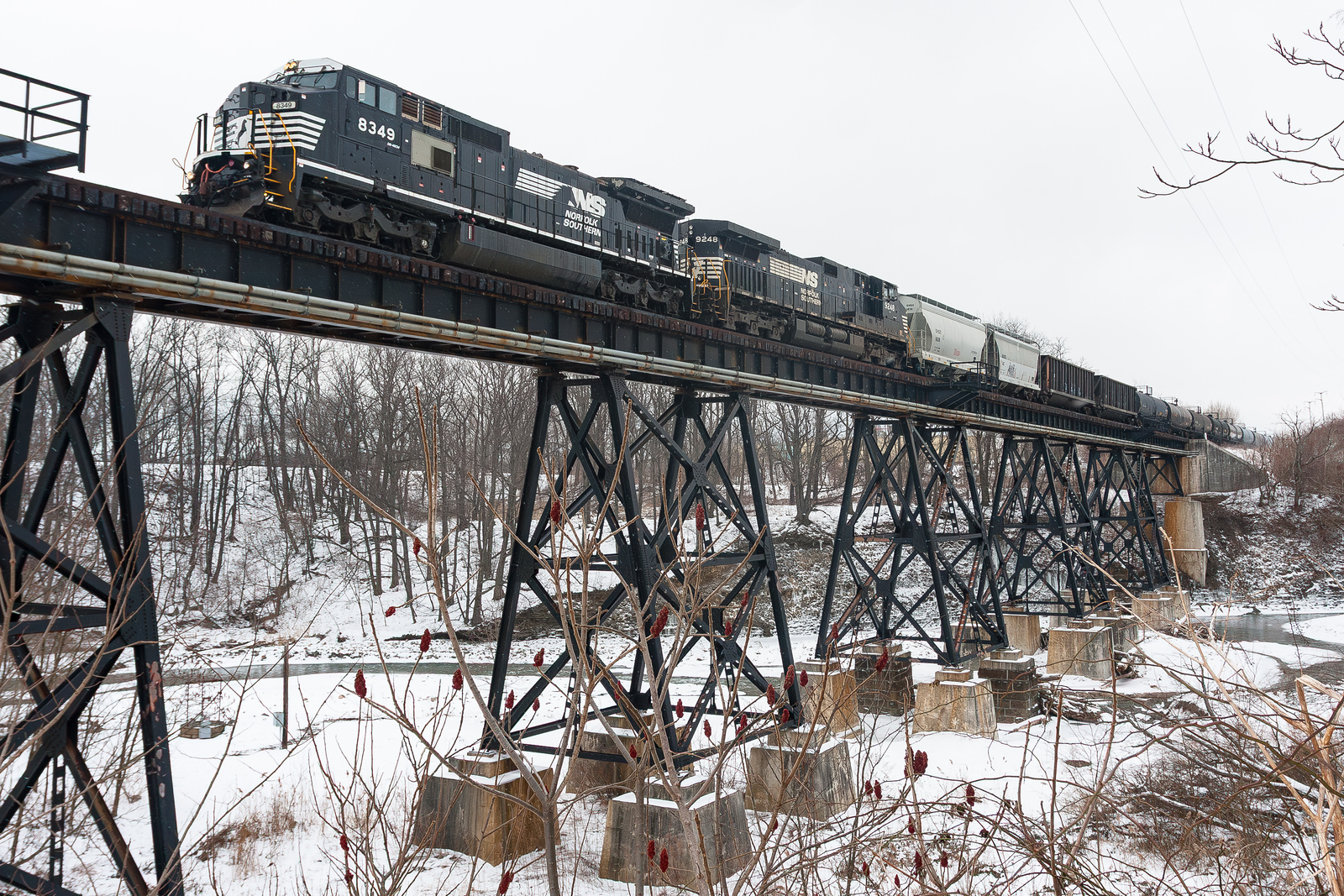 NS 309 @ Westfield, NY