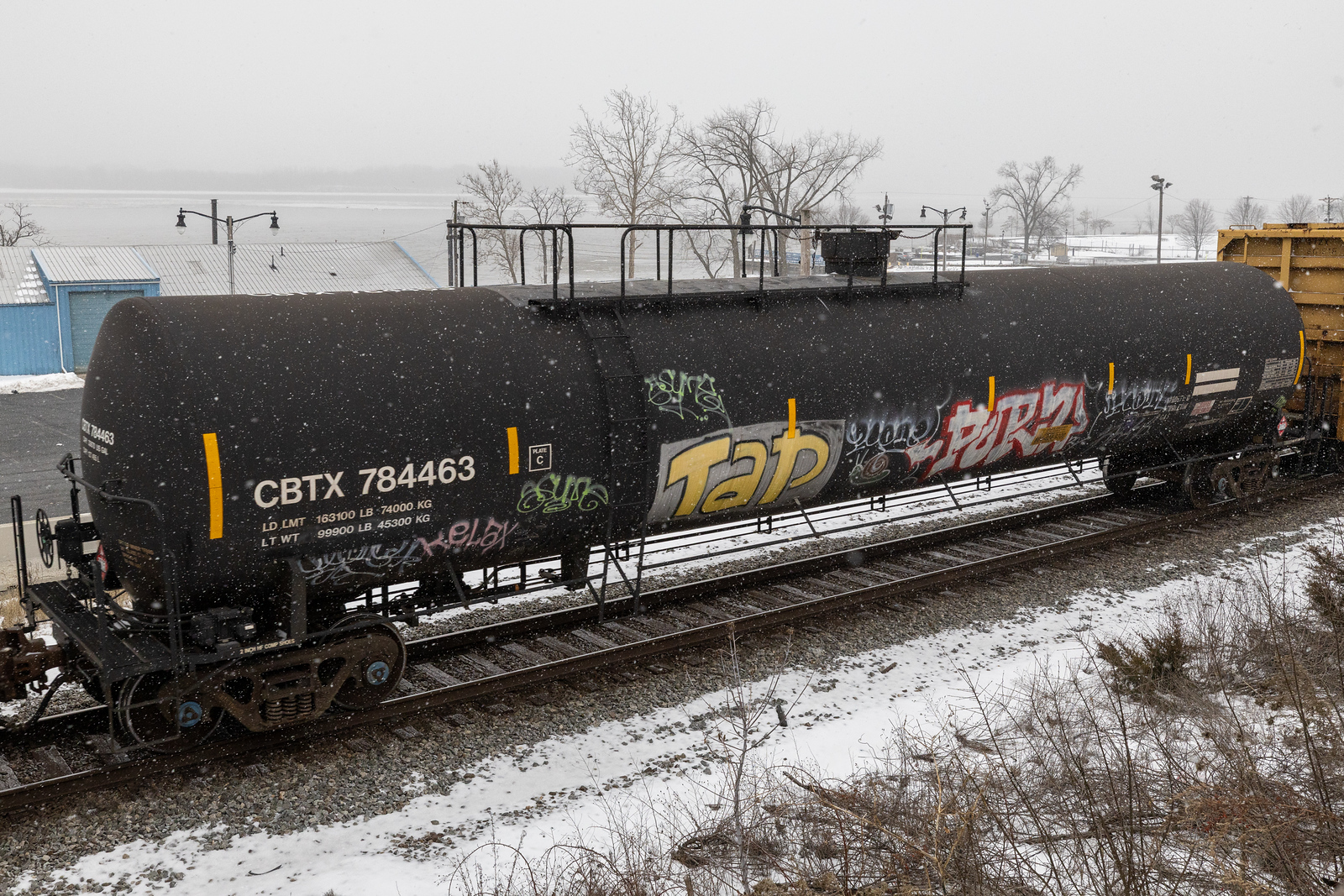 CBTX 784463