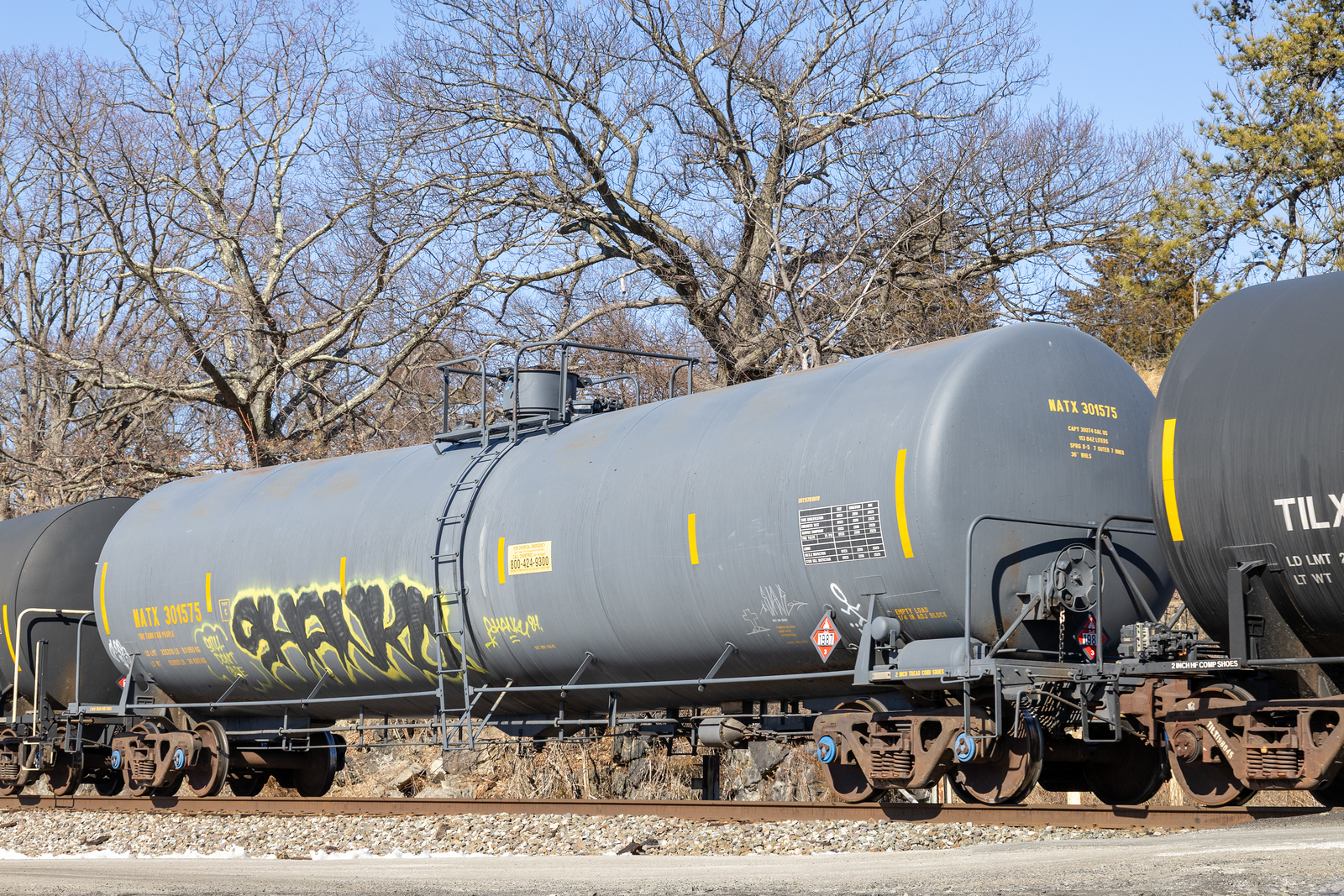 NATX 301575