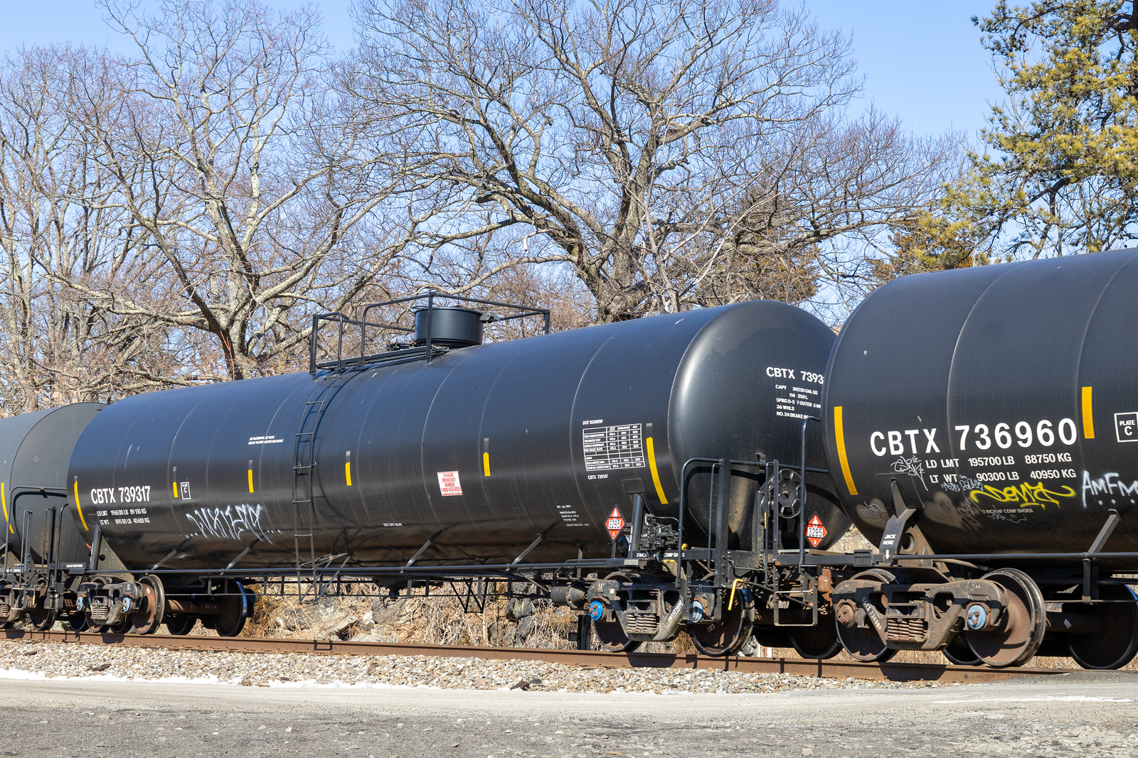 CBTX 739317