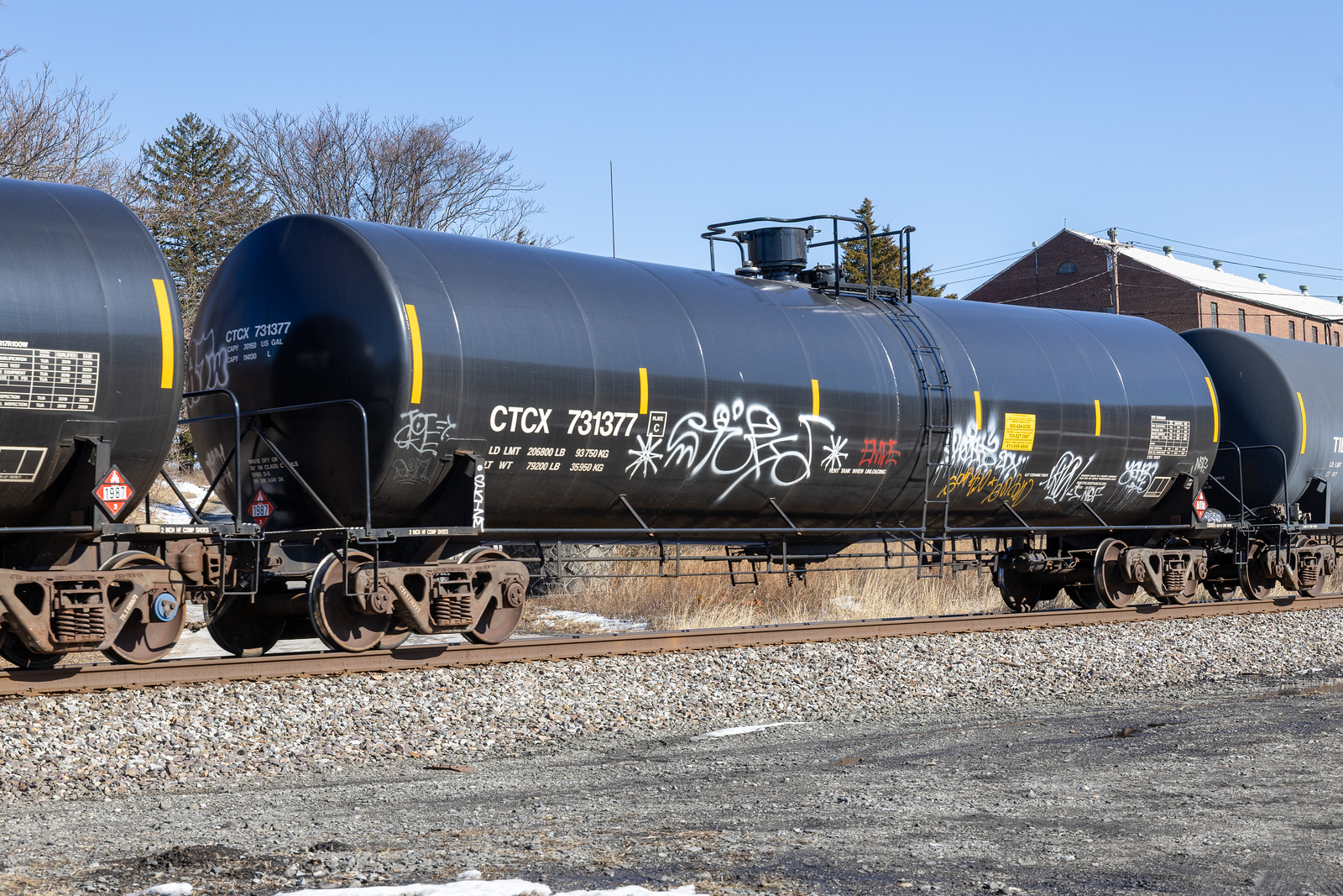 CTCX 731377