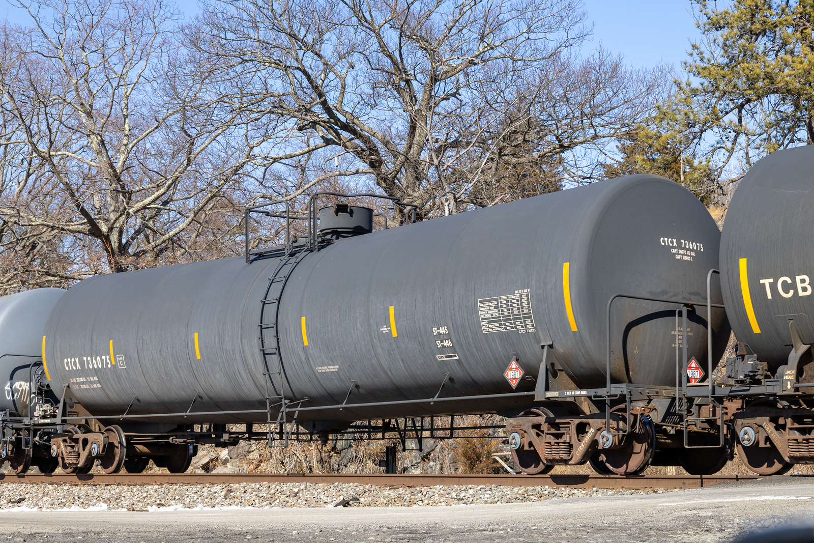 CTCX 736075