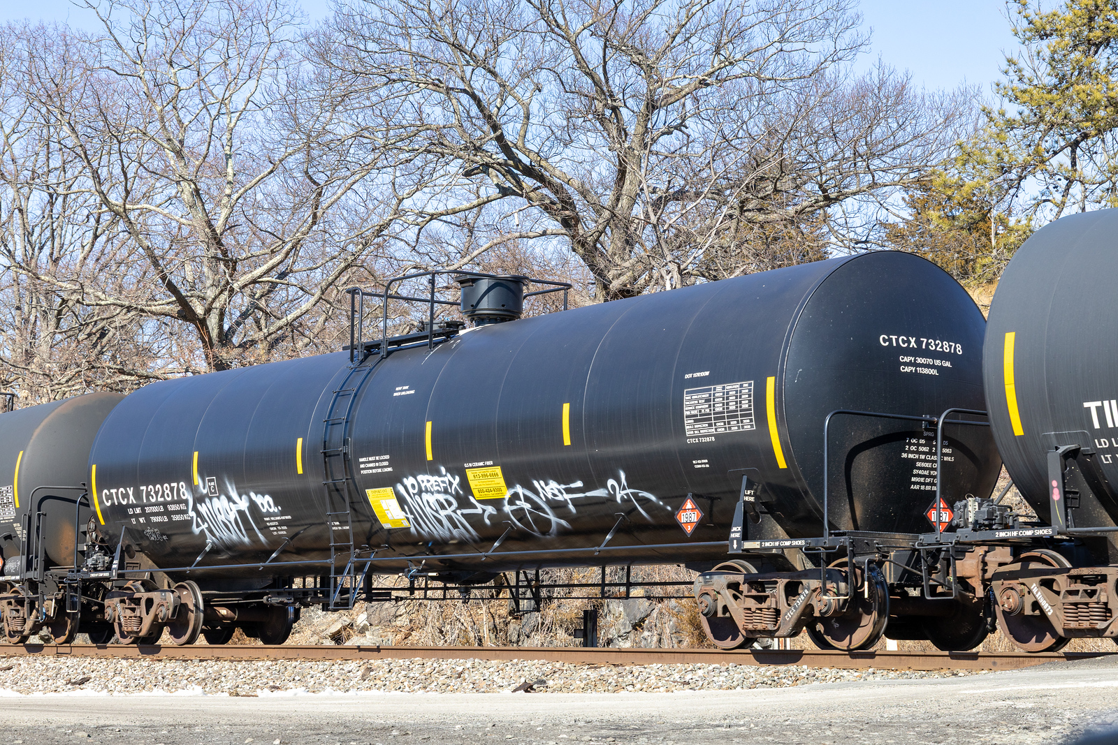 CTCX 732878