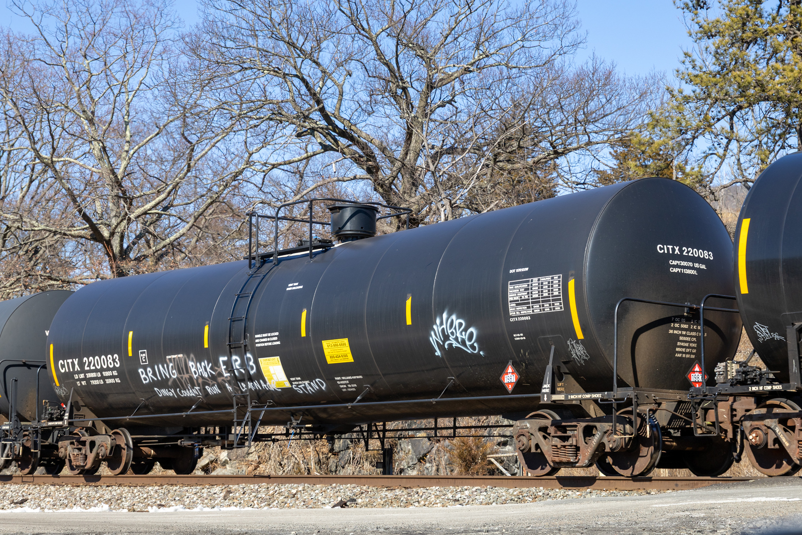 CITX 220083