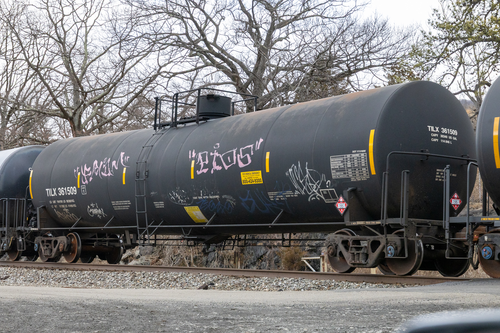 TILX 361509