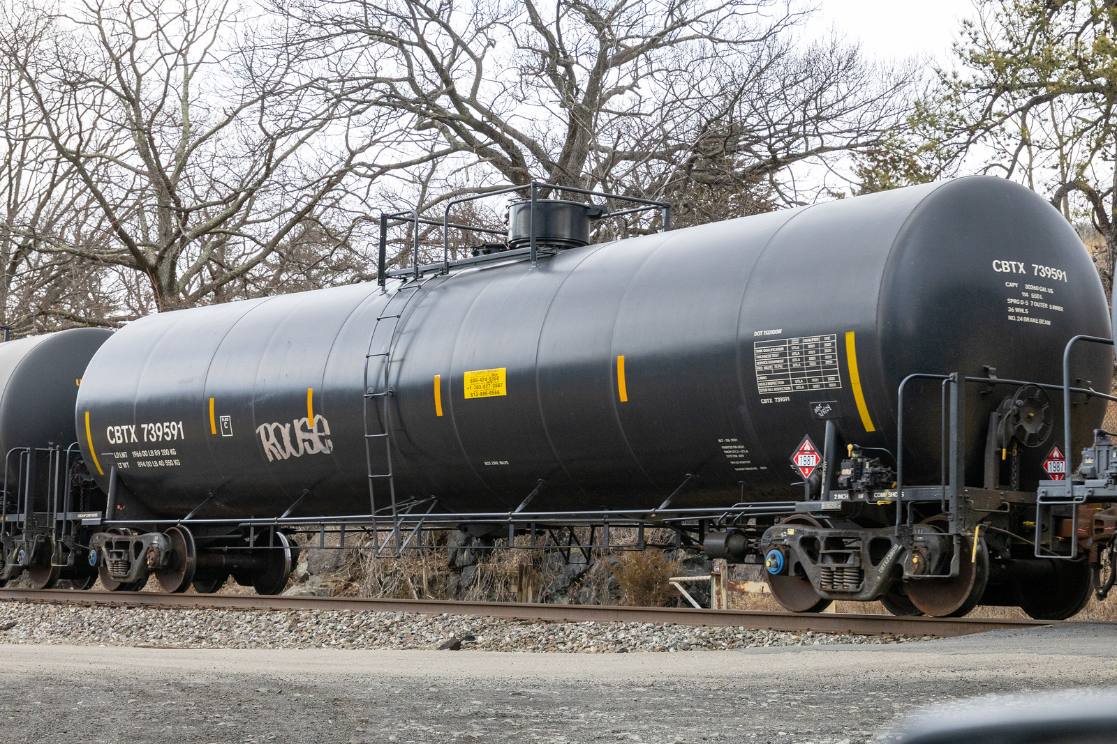CBTX 739591