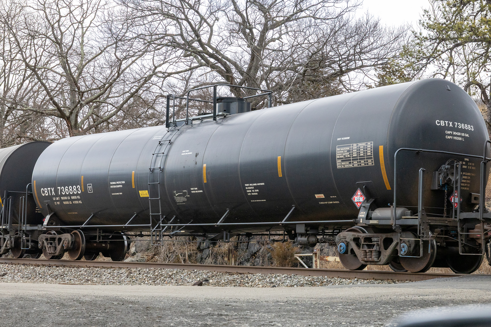 CBTX 736883