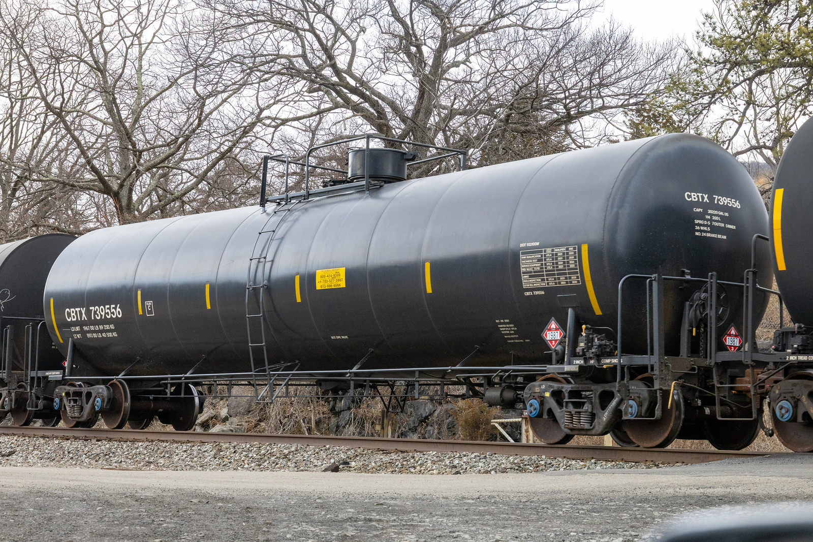 CBTX 739556