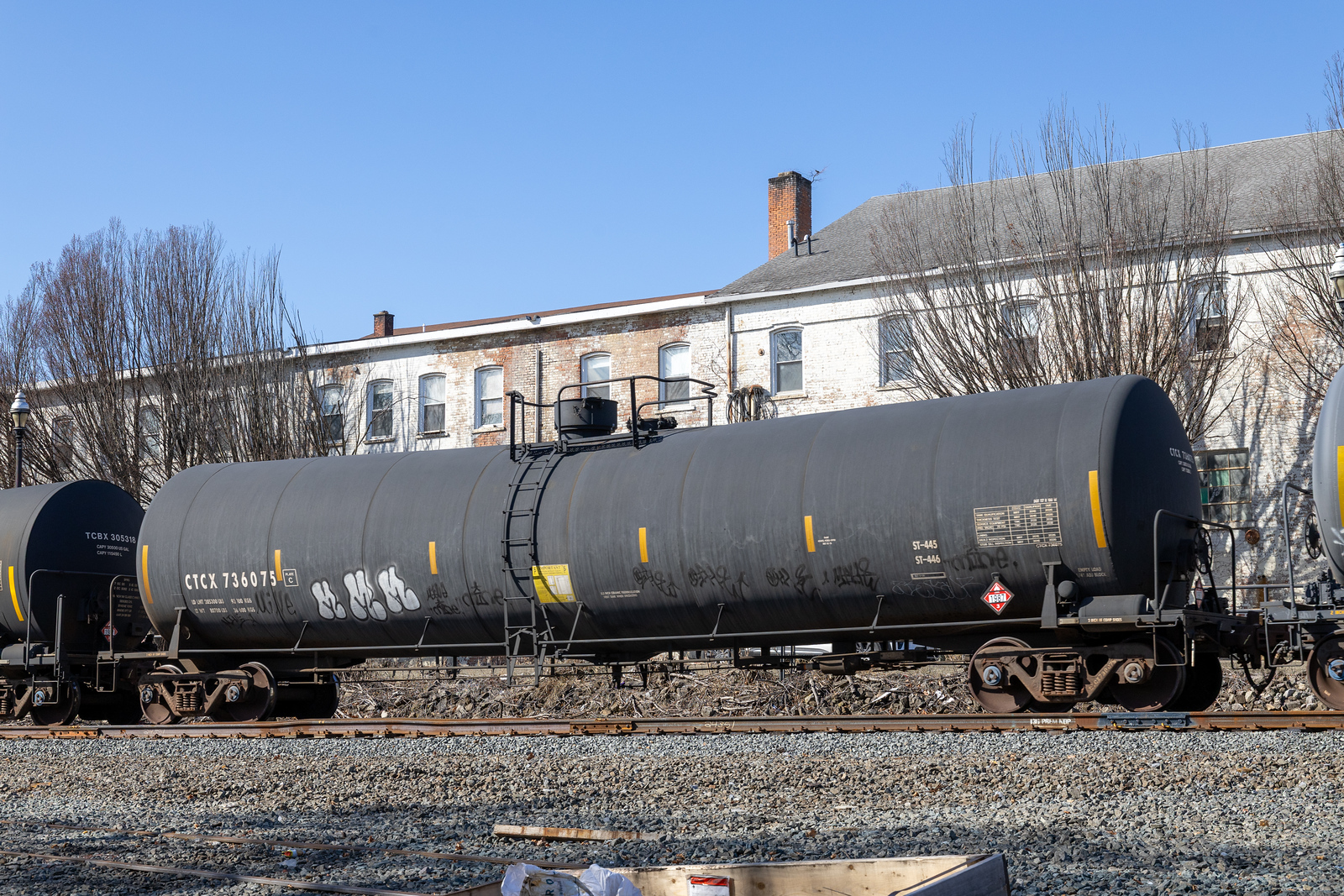 CTCX 736075