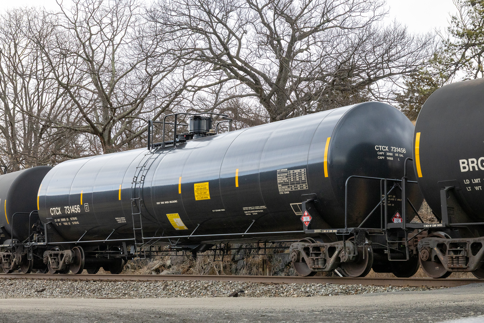 CTCX 731456