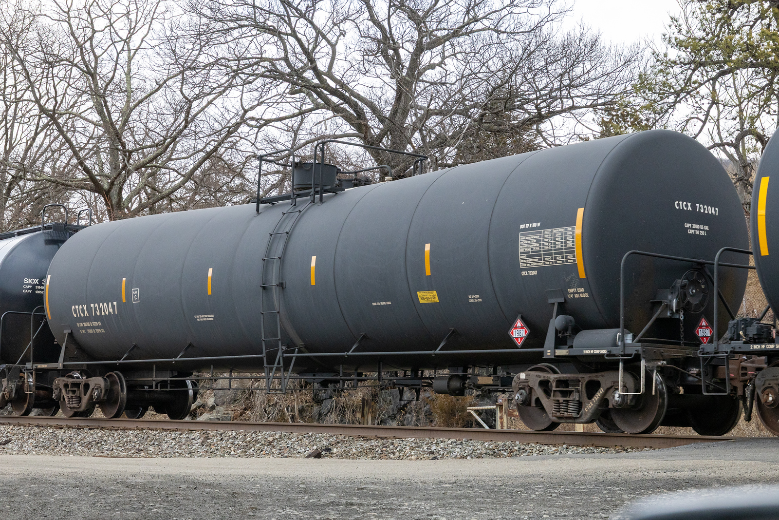 CTCX 732047