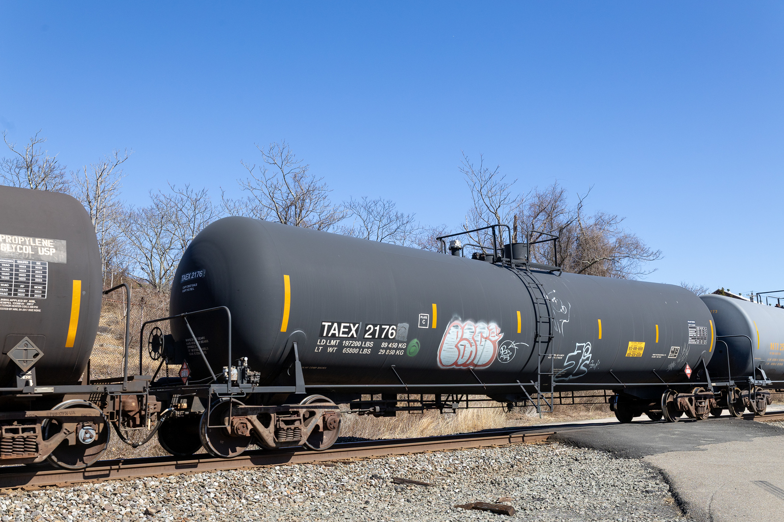 TAEX 2176
