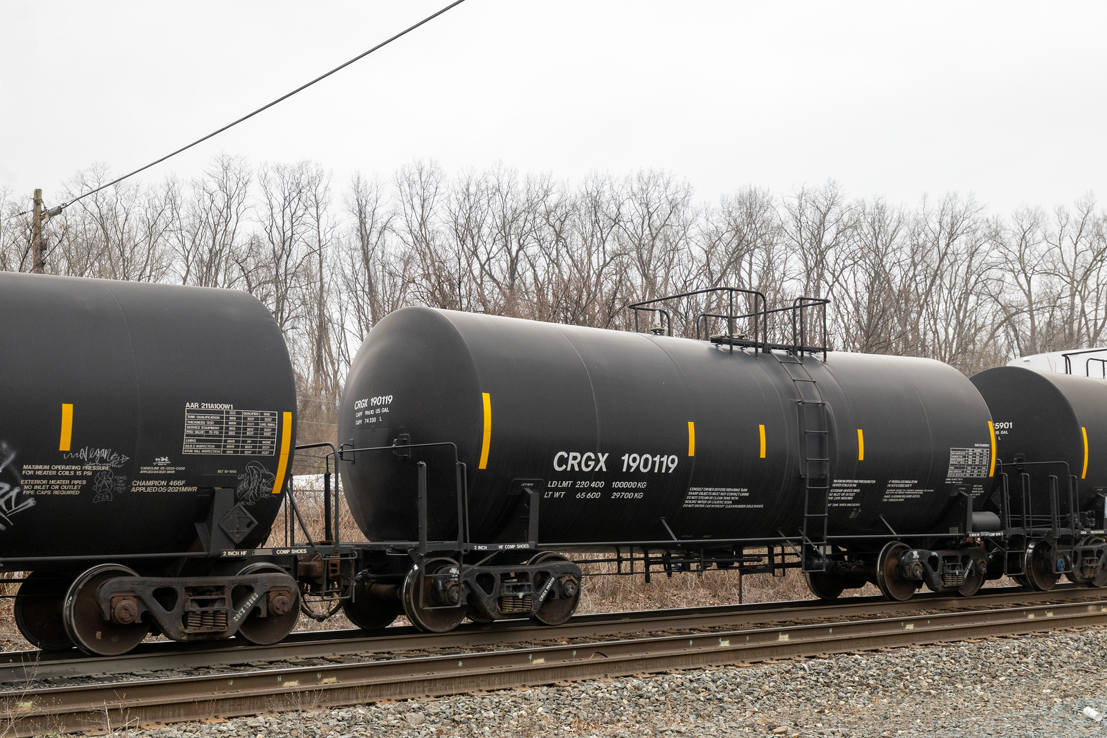CRGX 190119