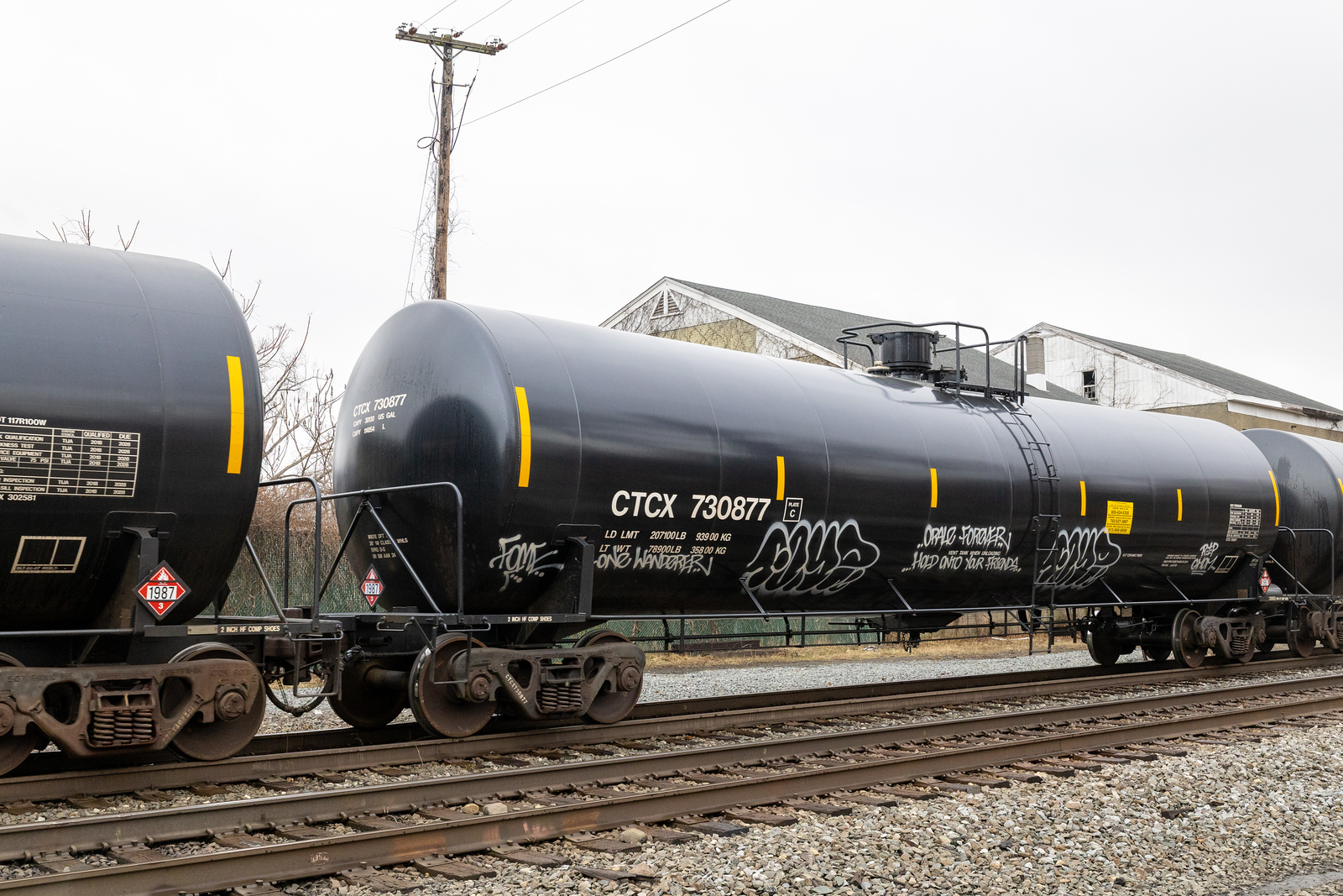 CTCX 730877