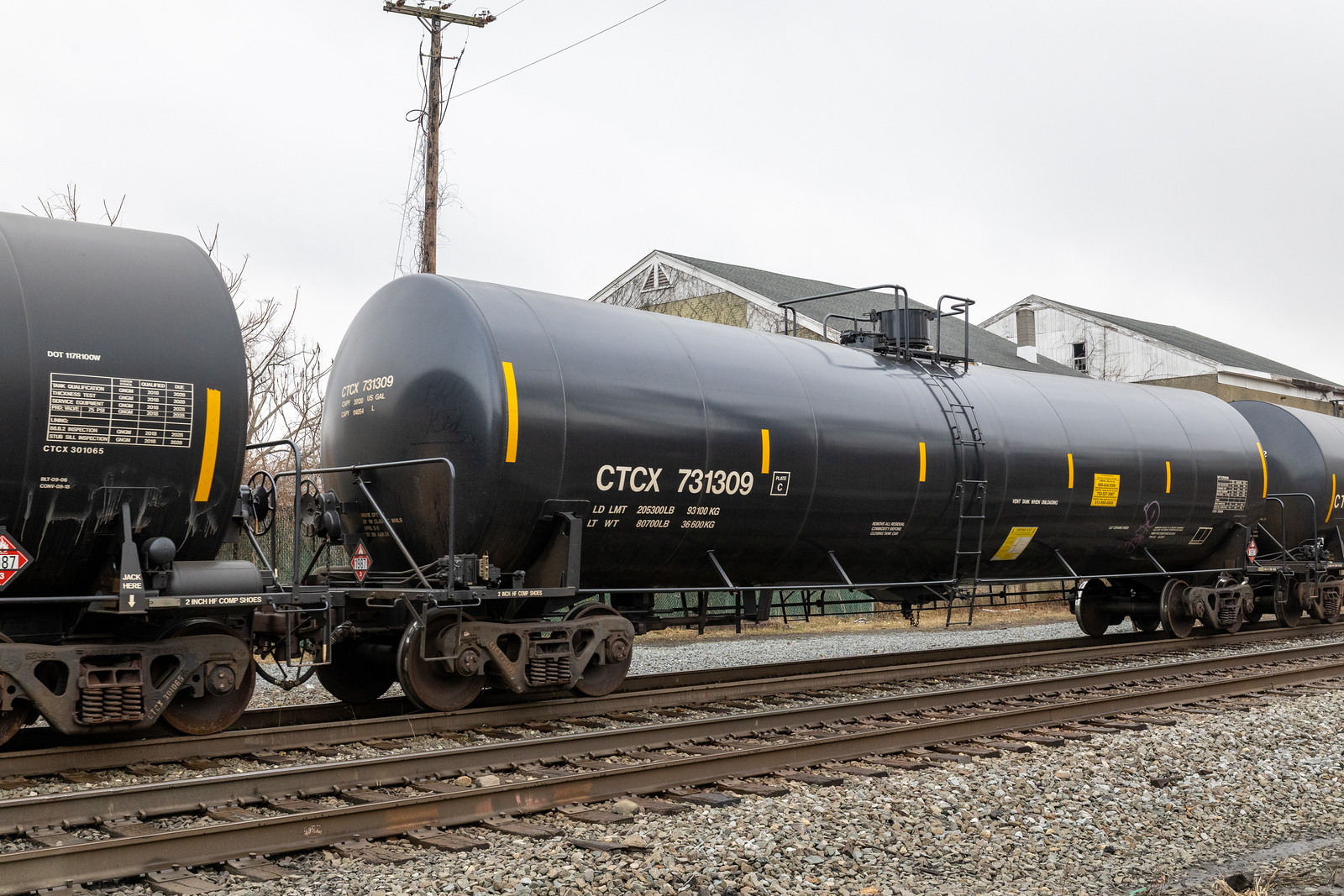 CTCX 731309