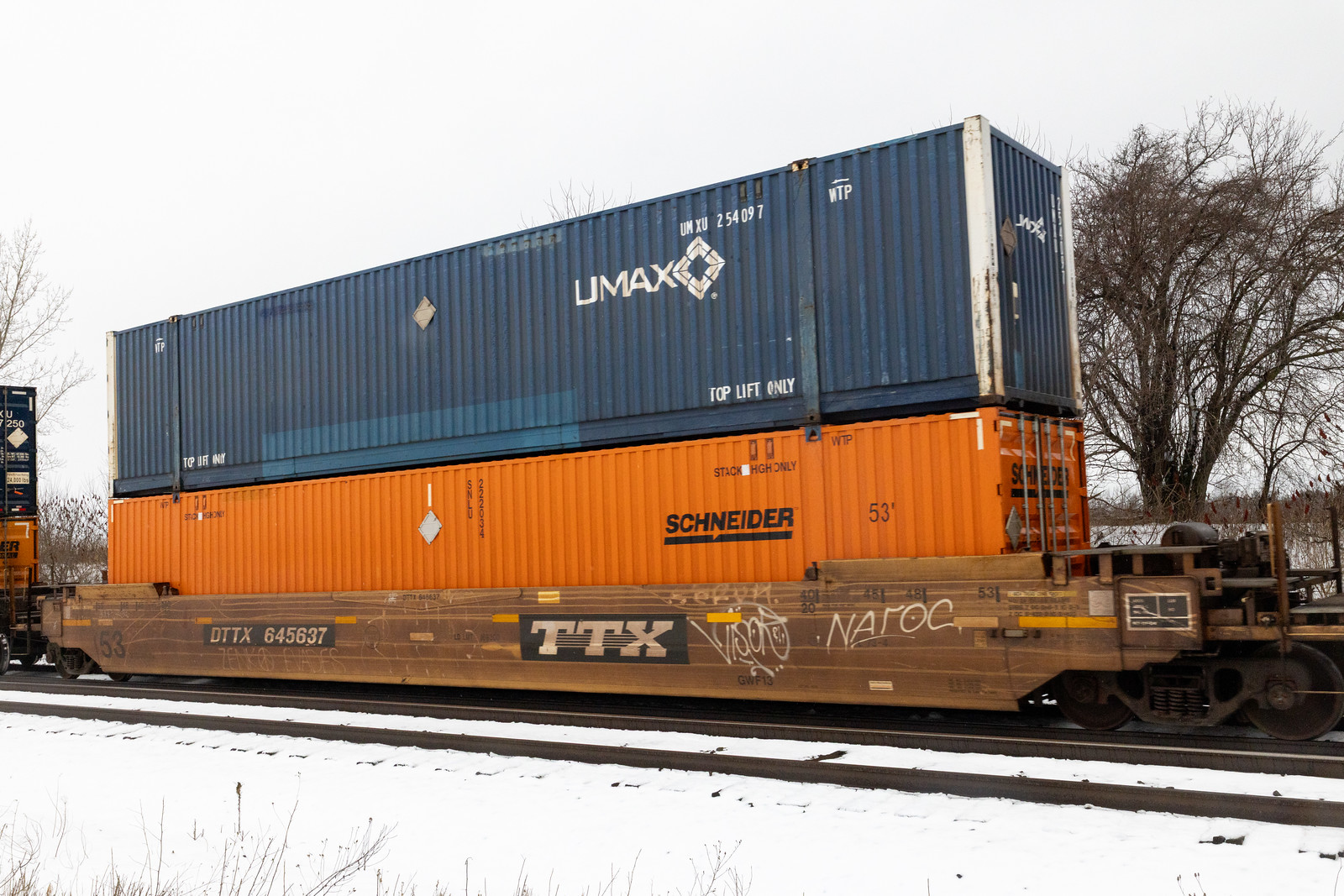 DTTX 645637