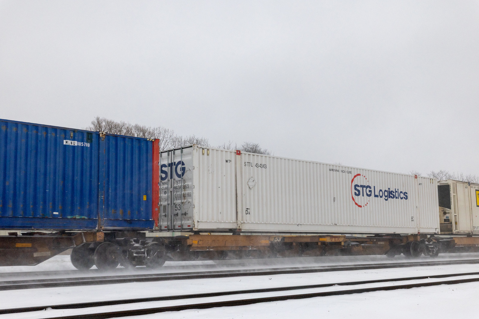 TTAX 556779D