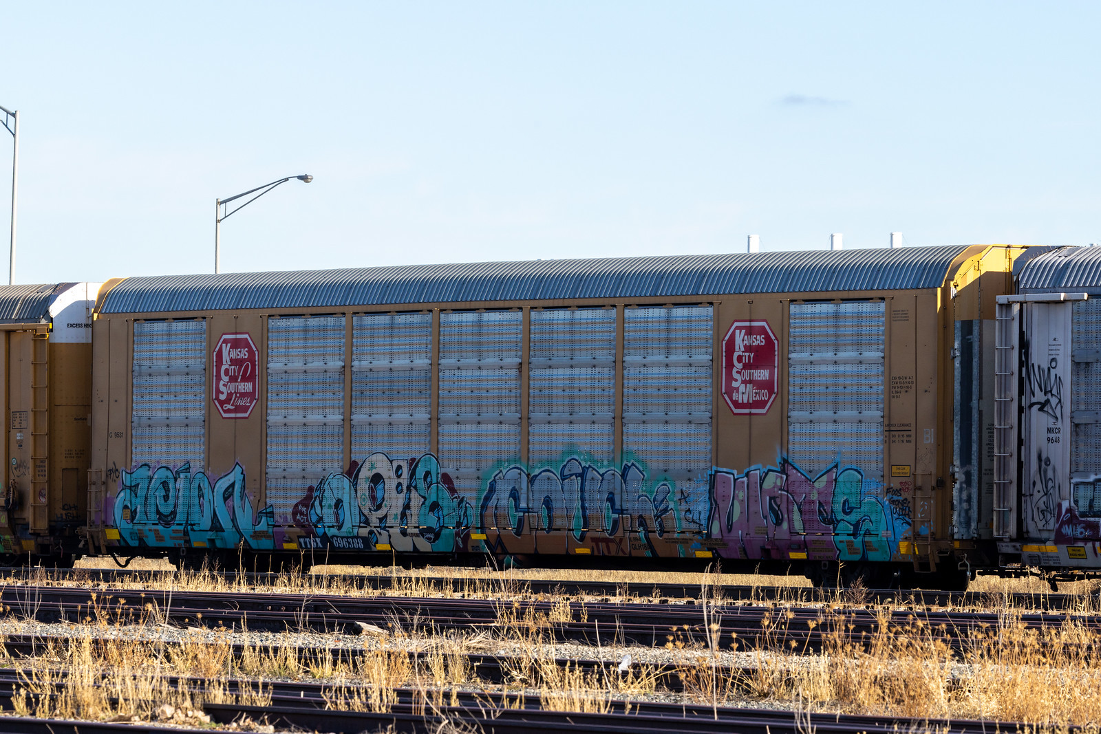 TTGX 696388