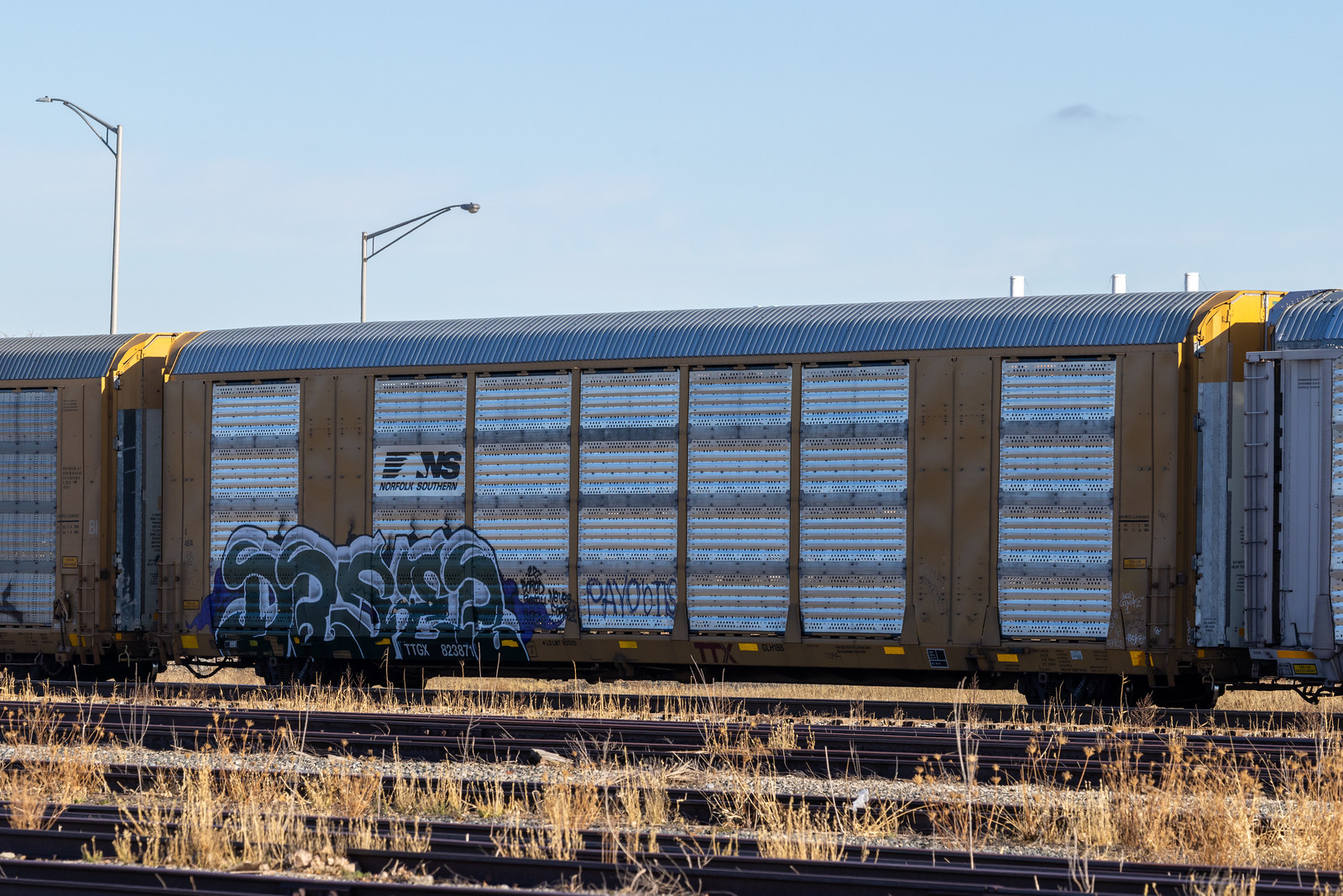 TTGX 823871