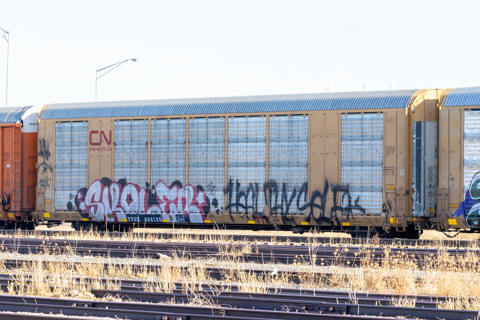 TTGX 696789