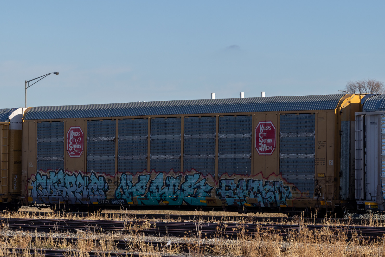 TTGX 695232