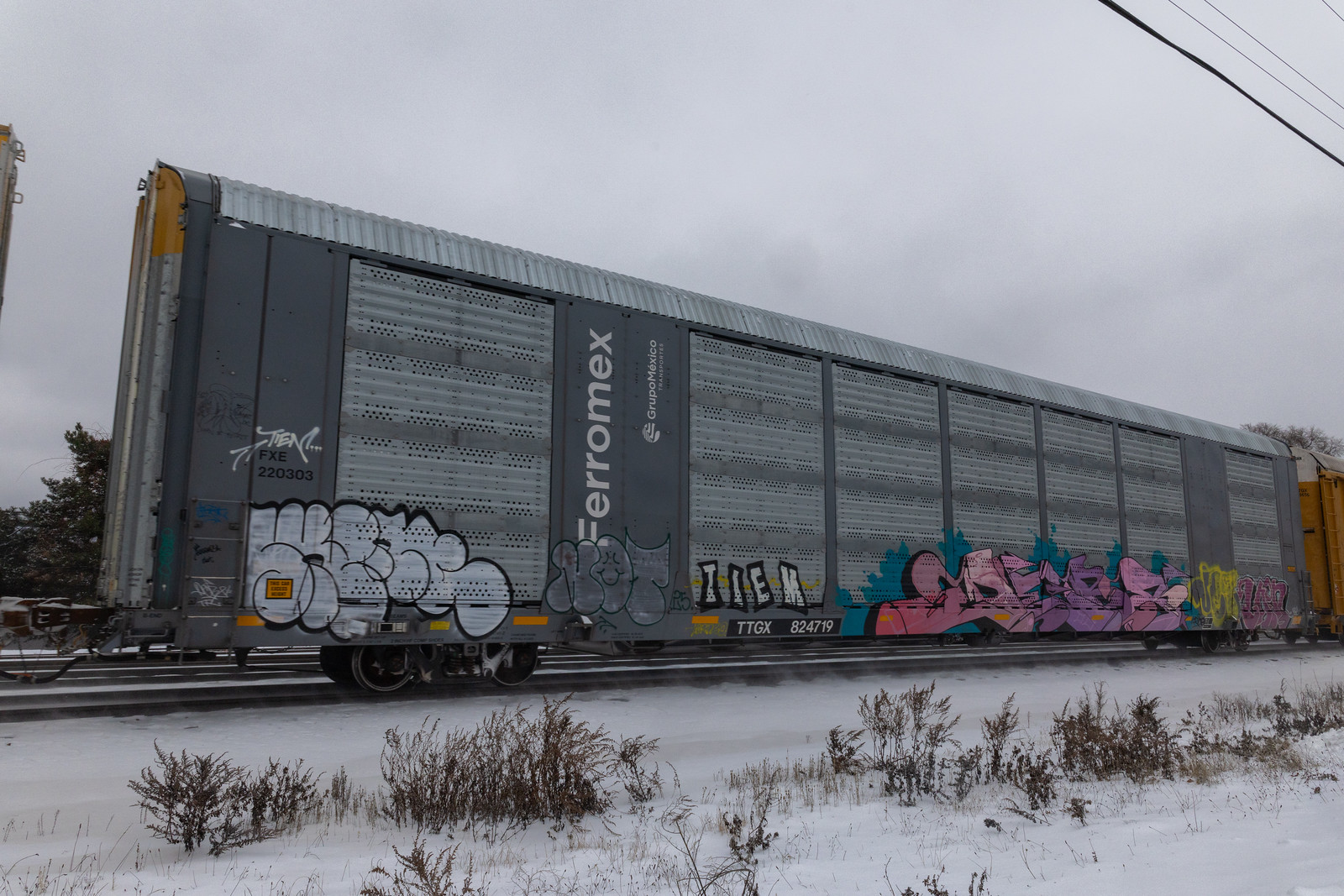 TTGX 824719