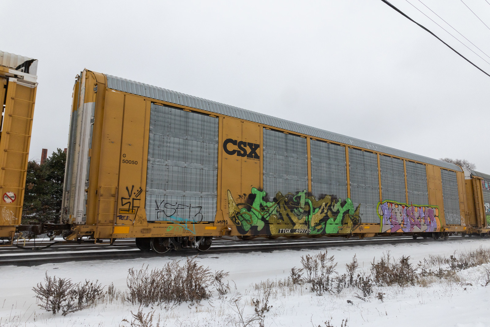 TTGX 699725
