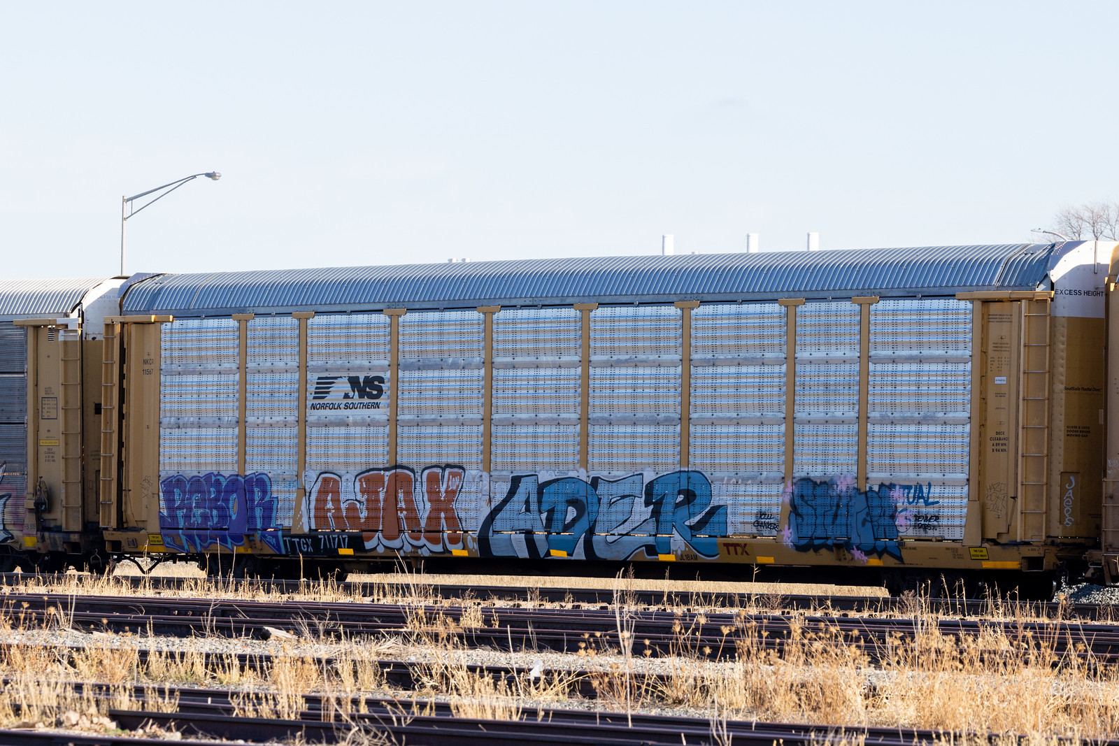 TTGX 711717