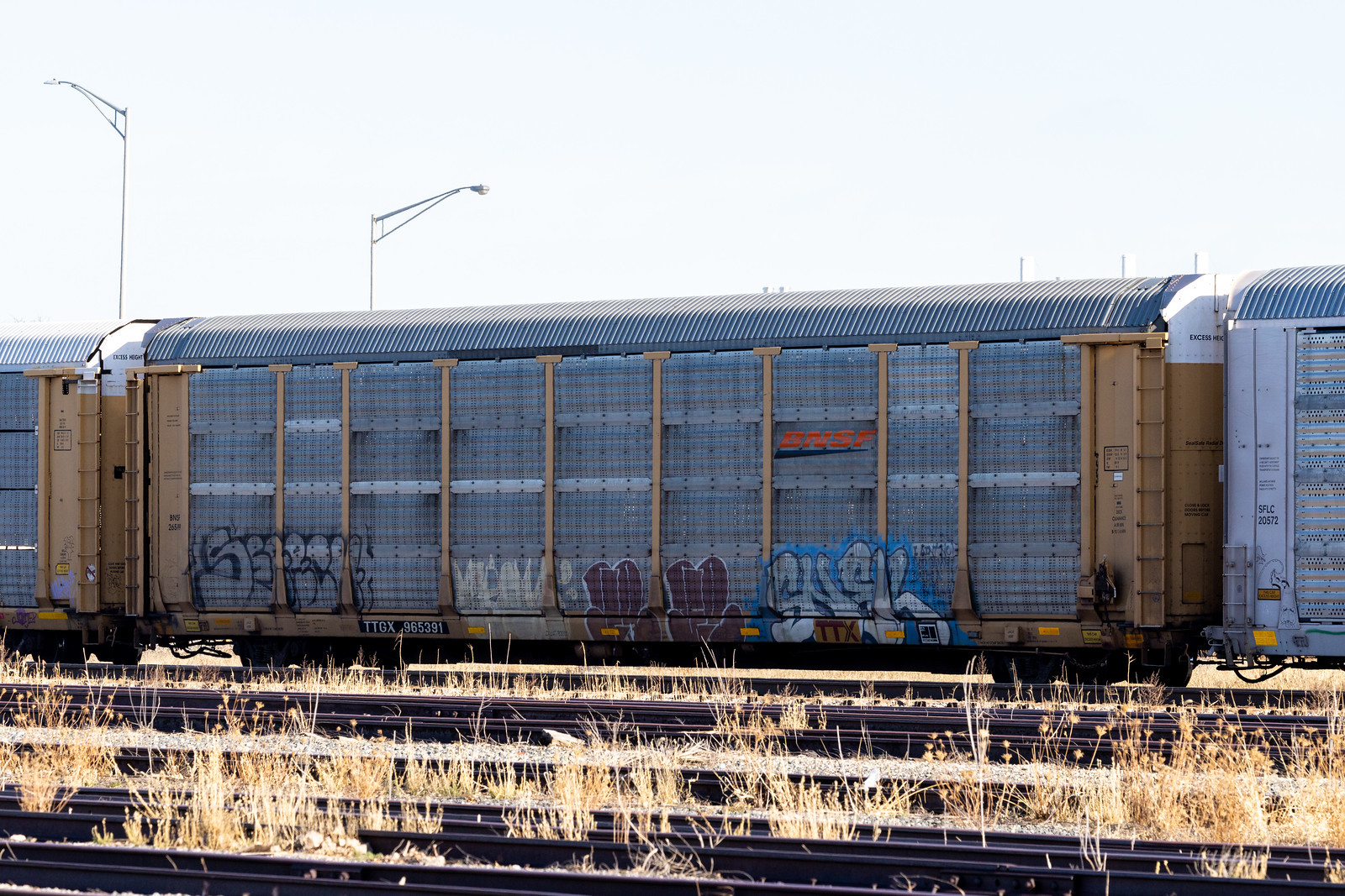 TTGX 965391