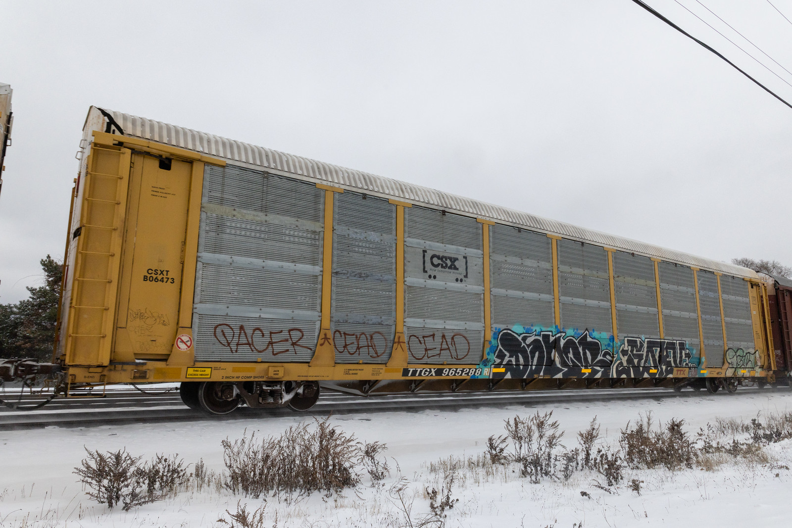 TTGX 965288