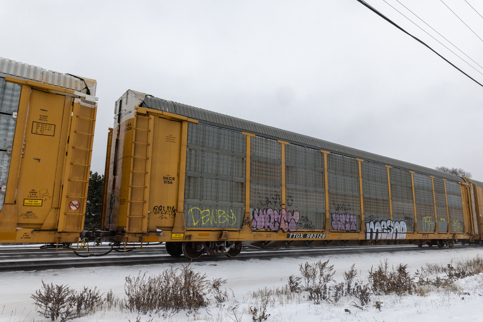 TTGX 983128