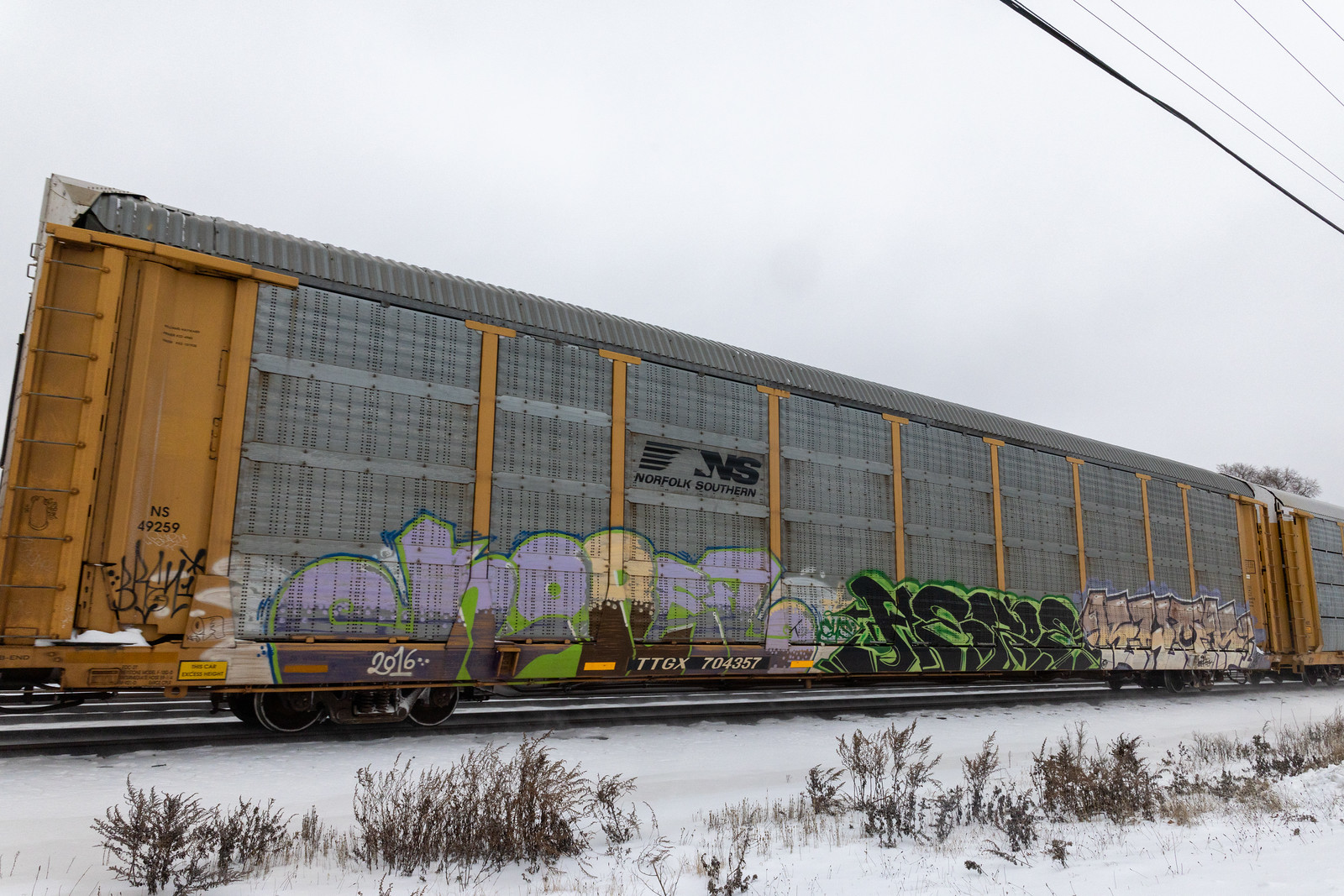 TTGX 704357