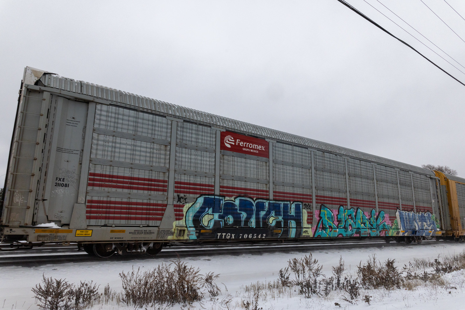 TTGX 706542