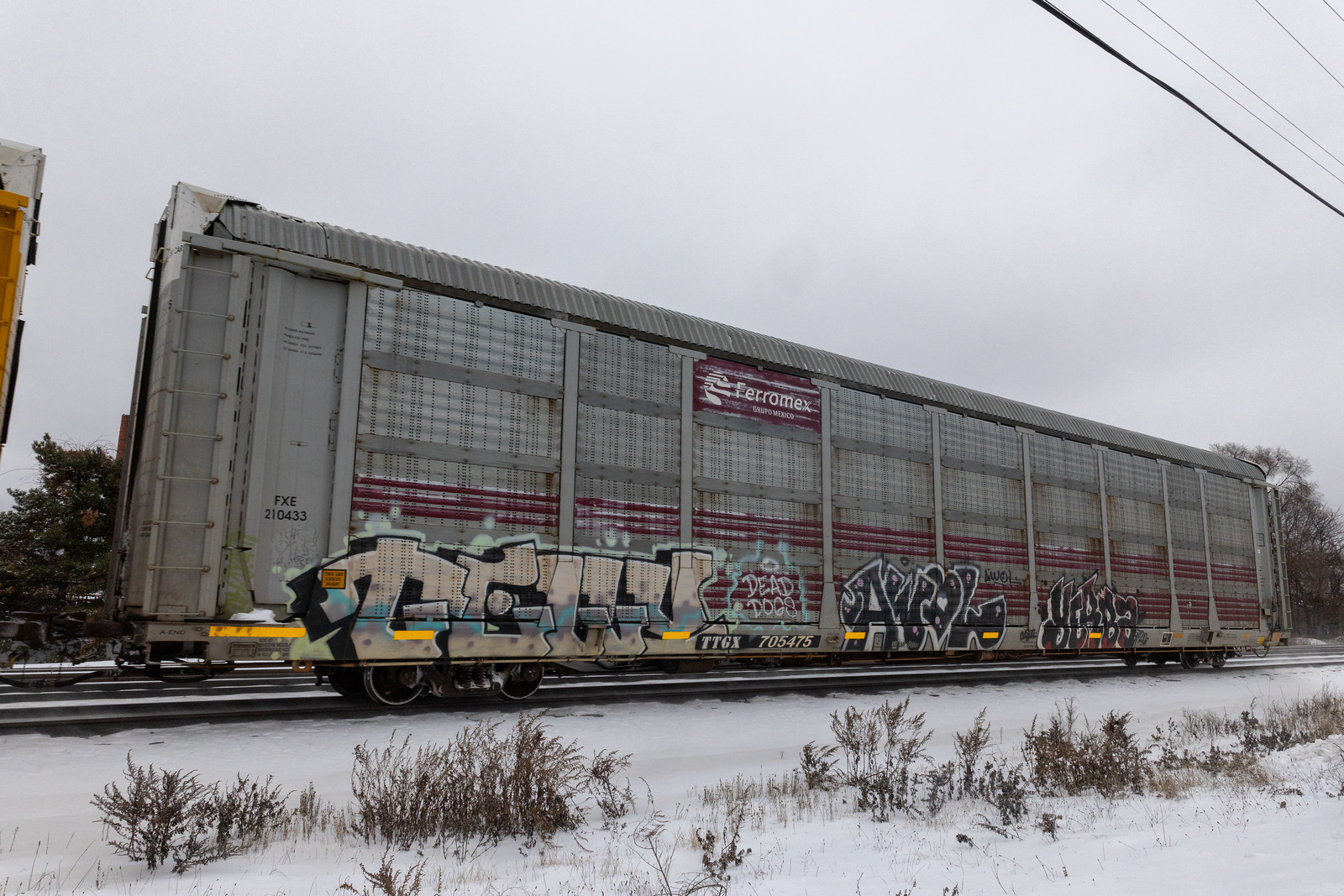 TTGX 705475