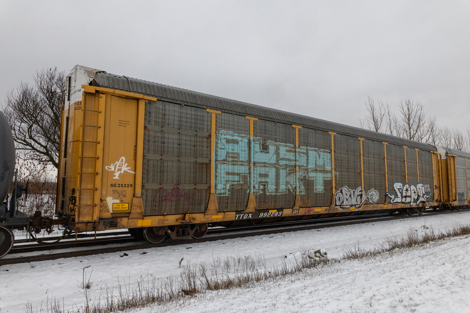 TTGX 992283