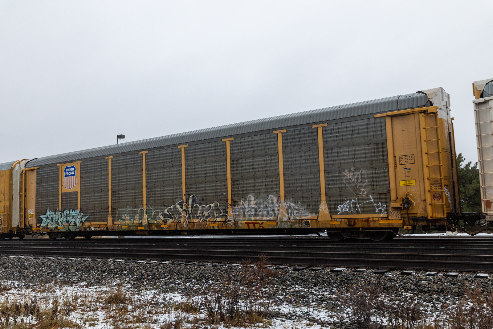 TTGX 994998