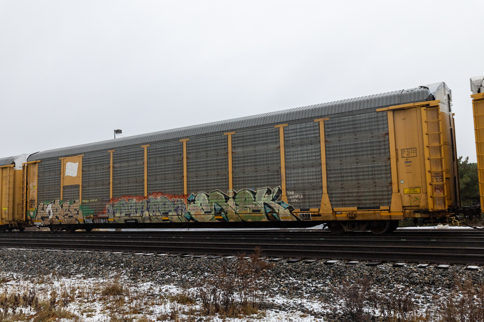 TTGX 995849