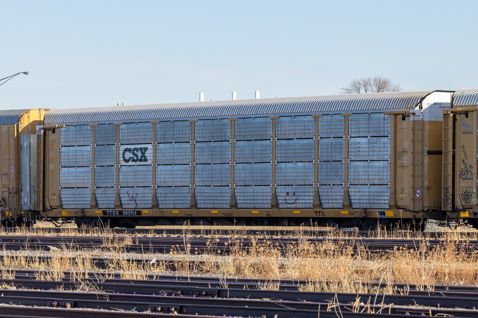 TTGX 982113